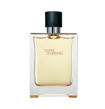 TERRE D'HERMES - EDT - Men - 100ml - Hermes