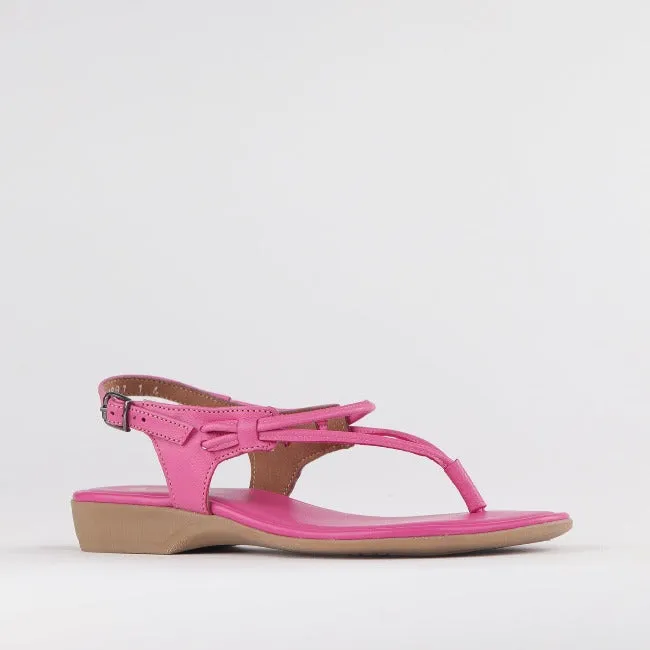 Women's Thong Flat Sandal in Hot Pink - 10732